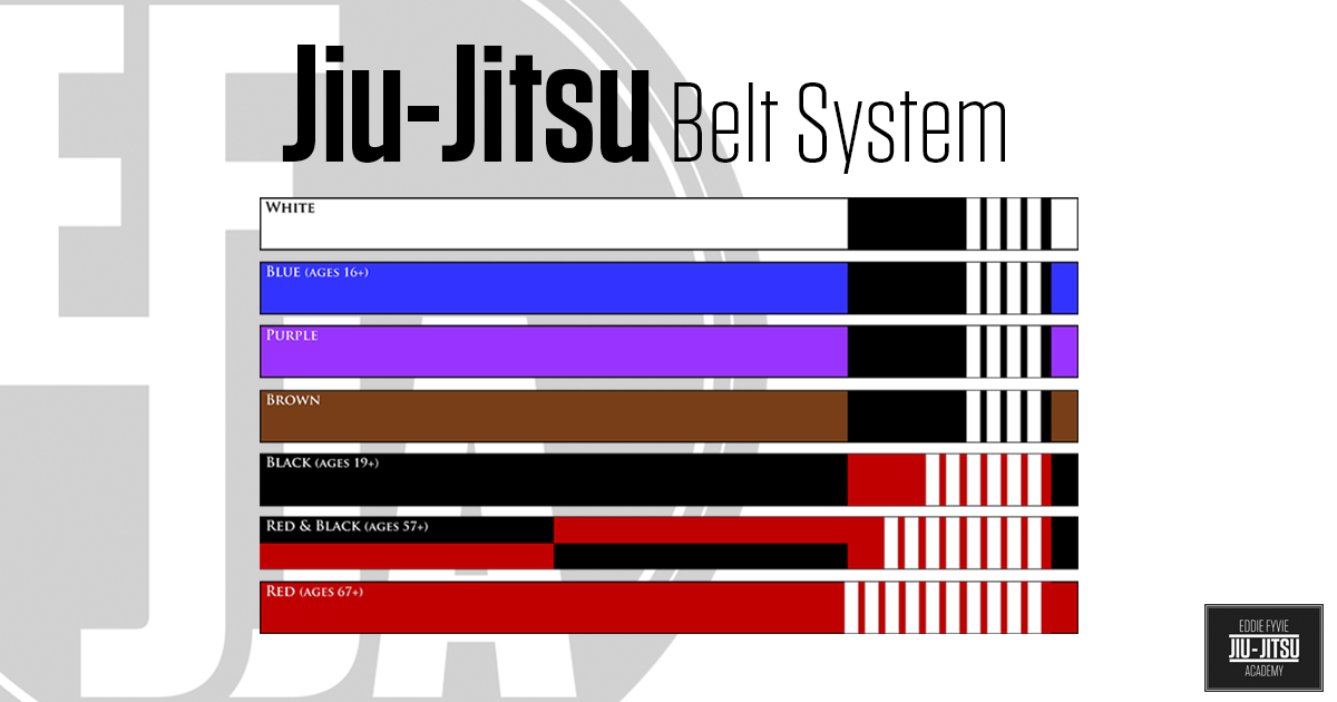 Jiu-Jitsu Belt system